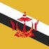 Brunei Flag