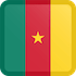Cameroon Flag