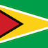 Guyana Flag