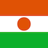 Niger Flag